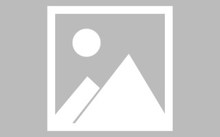 临沂制作网站发布信息（网站如何发布信息）